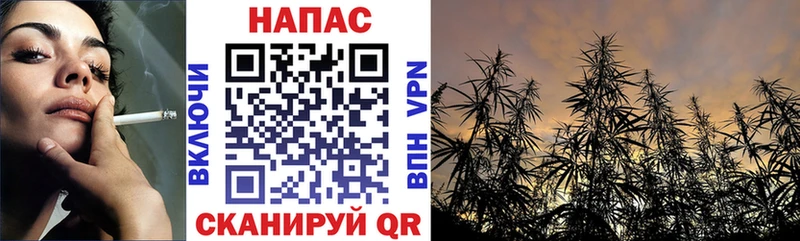 Каннабис гибрид Сатка